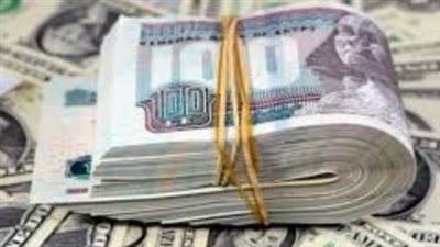 الدولار في البنك المركزي المصري: قراءة في أسعار الشراء والبيع وتأثيرها على حركة السوق المحلي