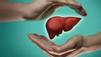 صحة الكبد للرجال فوق الـ 40: لماذا تزداد المخاطر وكيف تكتشف المرض قبل فوات الأوان؟