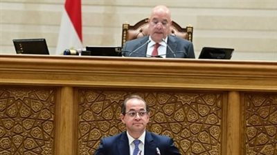 وزير المالية بمجلس النواب: 226 مليار جنيه لدعم قطاع الكهرباء في موازنة 2026/2027