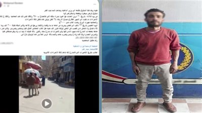 ضبط المتهم بالتعدي بالسب والضرب على شقيقه بالدقهلية 