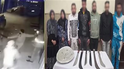 مشاجرة الجيرة تتحول إلى اعتداء جماعي.. ضبط المتورطين في فيديو الإسكندرية