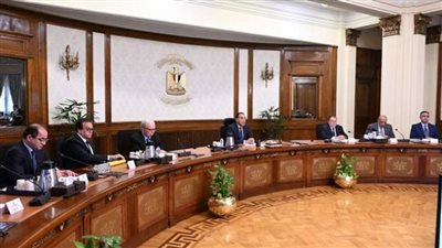 الحكومة المصرية تحسم الجدل بشأن 