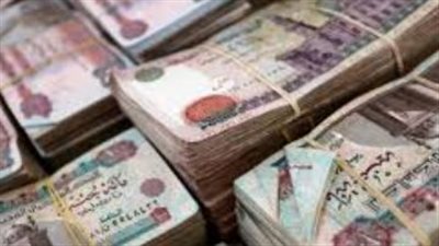 الفرق بين الاستقالة والفصل في صرف بدل البطالة: توضيحات الهيئة القومية