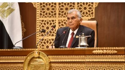 عاجل.. مجلس الشيوخ يناقش ملفات المراهنات الرياضية وتطوير مراكز الشباب اليوم