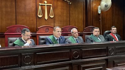    الإعدام شنقًا لبائع ملابس والمؤبد لزوجته في قضية قتل سيدة الكرم 