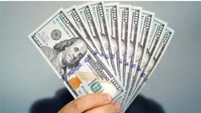 تحديث سعر الدولار الآن في مصر.. البنك المركزي يحدد مستويات الصرف الرسمية