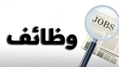 بالتأمين الصحي والاجتماعي.. تفاصيل وظائف وزارة العمل الجديدة للشباب وذوي الهمم