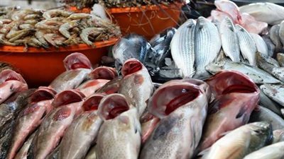 استقرار نسبي يسيطر على أسعار الأسماك في سوق العبور اليوم السبت 23 مايو 2026