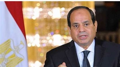 الرئيس السيسي يؤكد ضرورة تغطية احتياجات الدولة من السلع الاستراتيجية مدد كافية