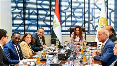 وزيرة التنمية المحلية تبحث مع البنك الدولي تسريع تنفيذ مشروعات الحد من تلوث الهواء