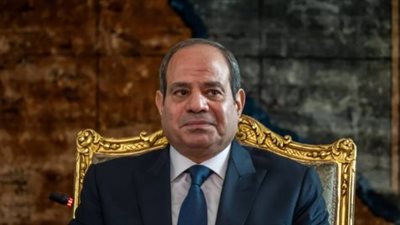 بحضور وزيري الخارجية والتخطيط.. السيسي يرسم خارطة طريق التعاون مع الـ OECD
