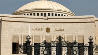 برلمانية تطالب بإدراج “التربية الإعلامية” كمقرر لتعزيز وعي طلاب التعليم الأساسي