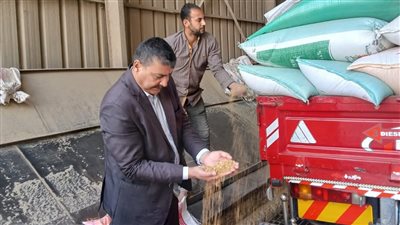 محافظ المنوفية: توريد 24 ألف طن قمح ومتابعة ميدانية لضمان انتظام منظومة الاستلام
