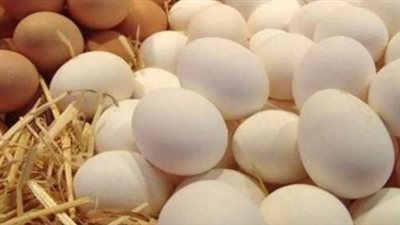 بورصة البيض اليوم.. كرتونة الأبيض بـ 101 جنيه والأحمر بـ 105 جنيهات للمستهلك