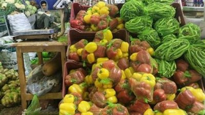 جدول أسعار الخضروات التفصيلي: البصل الأبيض والباذنجان الخيارات الأرخص لميزانية الأسرة