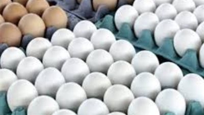 بورصة الدواجن الآن.. هل انخفضت أسعار الفراخ الساسو والرزي اليوم؟
