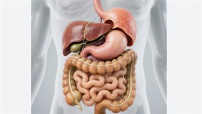 مخاطر شرب الماء دفعة واحدة.. كيف يتأثر الجهاز الهضمي والوظائف الحيوية؟