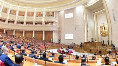 نائب التنسيقية: الأمن والاستقرار أكبر إنجاز وسط أزمات المنطقة