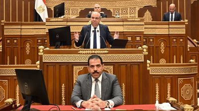 الشيوخ يفتح ملف الطيران المدني.. خطط تطوير المطارات ومواجهة التحديات الإقليمية