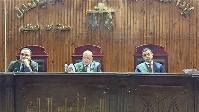 11 يونيو..الحكم على رجل الأعمال محمد عيد في اتهامه بالشروع بقتل «الديزل»