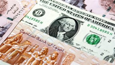 كم سجل سعر الدولار اليوم في بنك البركة والمصرف المتحد؟ تقرير شامل ومفصل