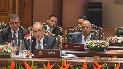 مصر تدعو لتعزيز التعاون الاقتصادي داخل مجموعة البريكس خلال اجتماع نيودلهي