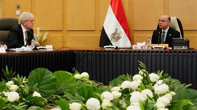 مصر وأمريكا تفتحان صفحة جديدة للتجارة والاستثمار.. وتحركات لدعم الصادرات وجذب الصناعات المتقدمة