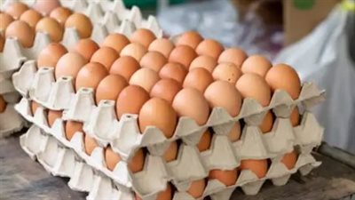 أسعار البيض في مصر اليوم الجمعة 22 مايو 2026.. استقرار نسبي داخل المزارع والأسواق 