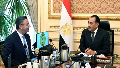 الحكومة: توفير كميات كبيرة من اللحوم والسلع الأساسية قبل عيد الأضحى