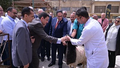 جامعة القاهرة توفر لحومًا وأضاحي بأسعار مخفضة لدعم منتسبيها قبل عيد الأضحى