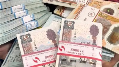 التأمينات الاجتماعية تتيح آليات مرنة لتغيير جهة صرف المعاش السنوي للمستحقين