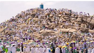 ضحي بالتقسيط.. وزارة الأوقاف تكشف طرق جديدة لتيسير إقامة الشعيرة بدون فوائد