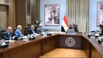 الحكومة تراجع أداء الشركات المملوكة للدولة.. خطوات جادة لتعزيز الشفافية والكفاءة