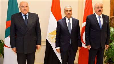 مصر وتونس والجزائر تؤكد دعم الحل السياسي الشامل في ليبيا