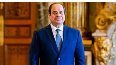 الرئيس السيسي يتسلم رسالة خطية من الرئيس تبون تؤكد عمق الروابط التاريخية بين البلدين