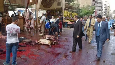 عقوبة ذبح الأضاحي في الشارع 2026.. القانون يحسم الأمر قبل عيد الأضحى