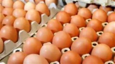 التحديث اليومي لأسعار البيض الأبيض والأحمر والبلدي في المزارع والأسواق