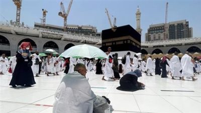 رحلة النور: كيف سهرت بعثة الحج المصرية على راحة ضيوف الرحمن؟