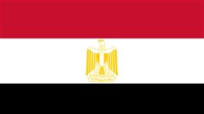 مصر تطالب الدول النووية بخطوات جادة نحو نزع السلاح النووي