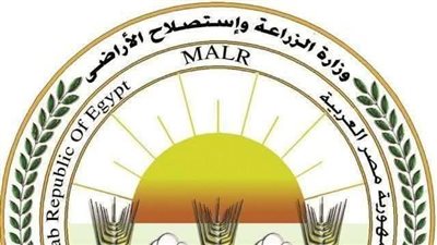 الزراعة: ذبح أكثر من 10 آلاف أضحية مجانًا بالمجازر الحكومية في أول أيام العيد