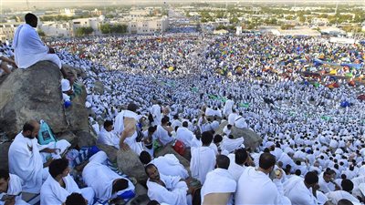 نجاح كامل لتصعيد حجاج السياحة إلى عرفات والنفرة إلى المزدلفة