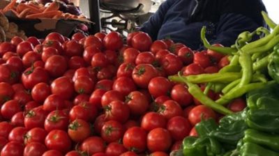 جولة في سوق الفاكهة المصري: تعرف على أسعار الكيوي والأناناس والكنتالوب