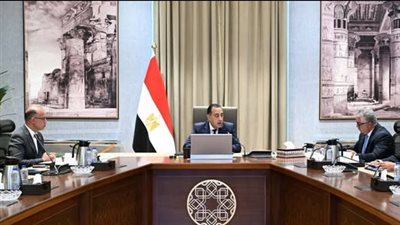 الحكومة تدرس إنشاء مركز توزيع عالمي في المنطقة الاقتصادية لقناة السويس