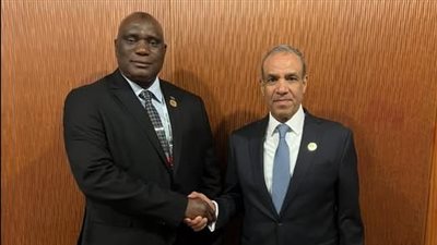بدر عبد العاطي يبحث مع نظيره الجامبي تعزيز التعاون الاقتصادي والتنسيق بشأن قضايا أفريقيا