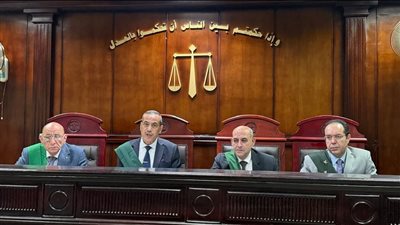 الإعدام لشقيقين في البدرشين لقتل سيدة ونجلها بسبب خلاف على قطعة أرض
