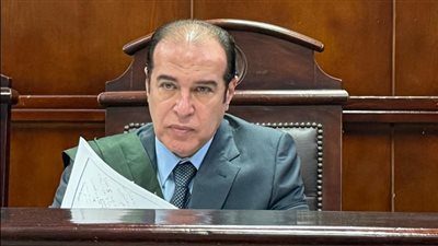 المؤبد لـ6 متهمين في أخطر قضية مخدرات بالبدرشين.. والمحكمة: 