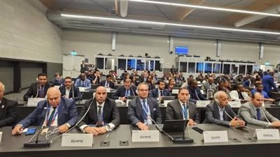 مصر ترحب باعتماد قرار مشاركة فلسطين في منظمة العمل الدولية