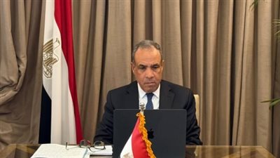 بدر عبد العاطي يهنئ النمسا بعضوية مجلس الأمن ويؤكد تطلع مصر لتنسيق أعمق