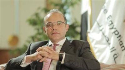 محمد فريد وزير الاستثمار.