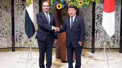 الحوار الاستراتيجي المصري الياباني: تأكيد على الحلول السياسية وخفض التوترات الإقليمية